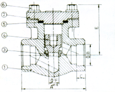 Forged Check Valve