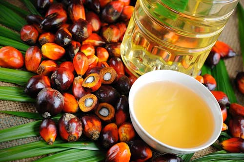  Palm Oil, Production Capacity : 50000 MT