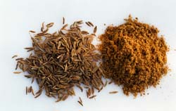 Cumin oleoresin