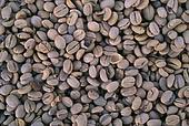 Roasted Coffee Extract