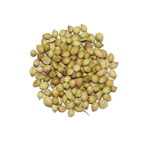Eagle Scooter Coriander Seeds
