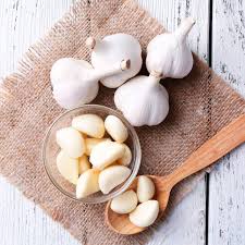 Fresh garlic, Color : White