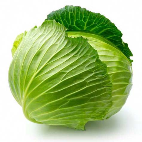 Fresh Cabbage