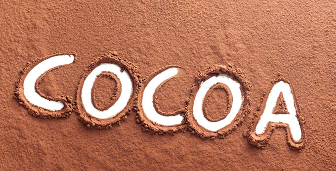 Cocoa Powder, for Bakery, Chocolate Products, Food, Pastry, Feature : Rich Chocolatey