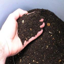 vermicompost fertilizer
