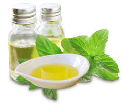 Menthol Oil