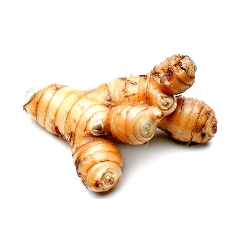 Galangal Oil