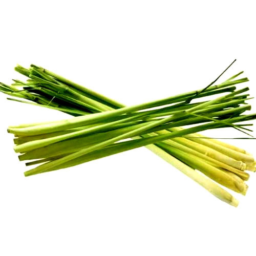 Lemongrass Oil