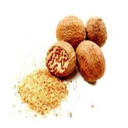 Nutmeg Oil