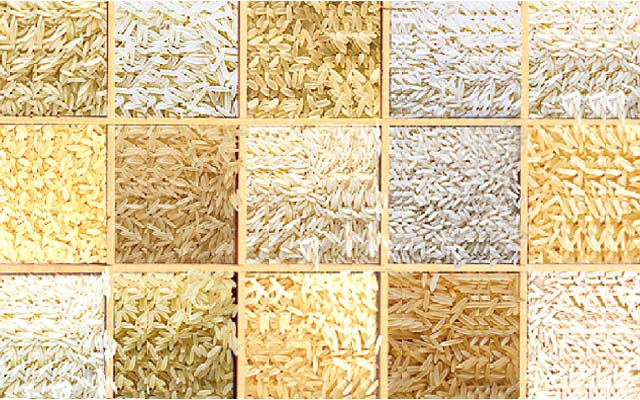 Indian Rice, Packaging Type : 25 KG, 50 KG