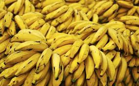 Organic Fresh Yellow Banana, for Food, Juice, Snacks, Feature : Absolutely Delicious, Easily Affordable