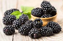 Organic Fresh Blackberry