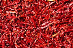 Organic Dried Red Chilli, for Food, Making Pickles, Powder, Packaging Type : Gunny Bags, Jute Bag