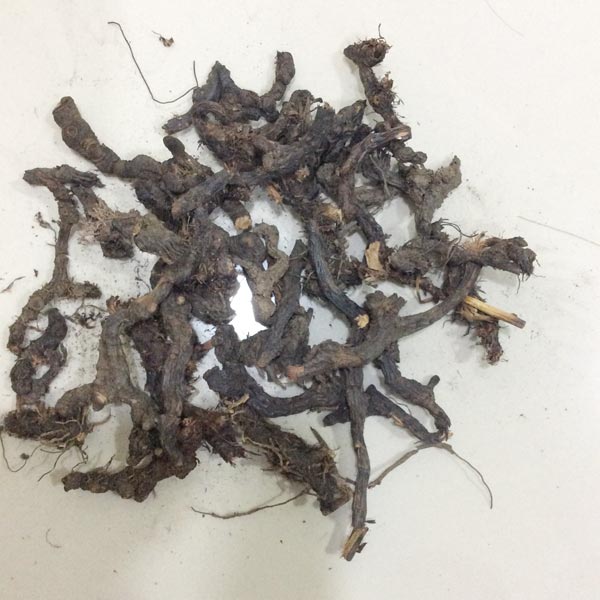 Nagarmotha Dry Extract