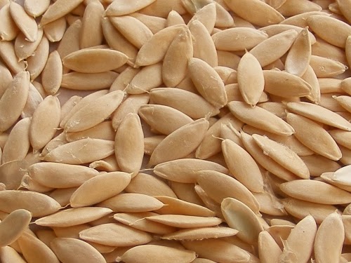  Cucumber Seeds, Color : White