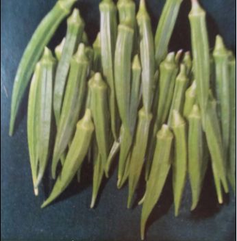 Lady Finger Seeds