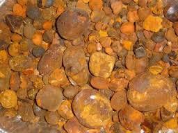 Cow Ox Gallstones for sale