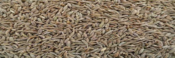 cumin seeds