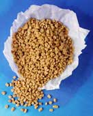 fenugreek