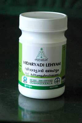 Vidaryadi Lehyam