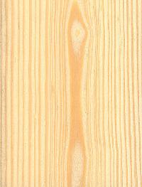 khasi pine sawm timber