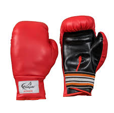 Red Prokyde Rookie Boxing Gloves (Size 10)