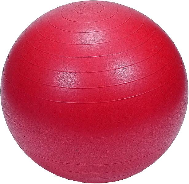 55 cm Prokyde Gym Balls