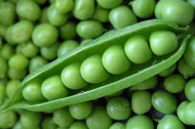Fresh Green Peas, for Cooking
