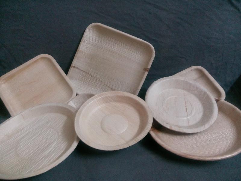Areca leaf plate, Feature : hygienic, non-odorous, non-toxic, light weight