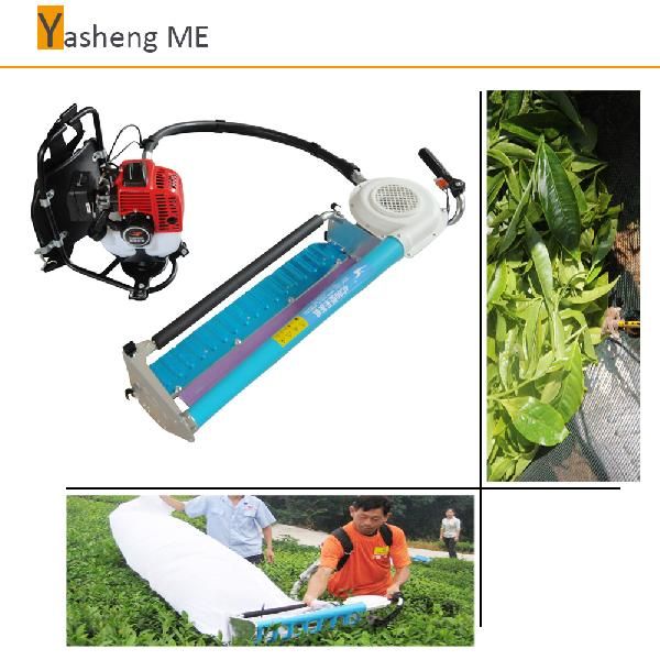 Single-man Tea Harvester