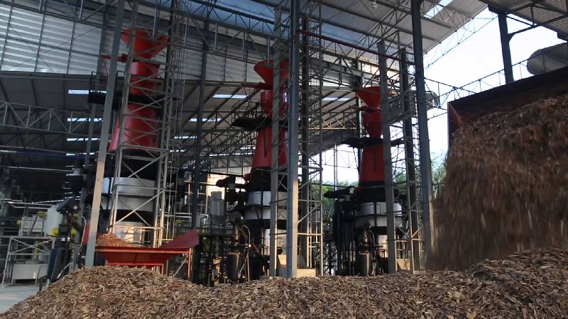 Biomass Gasification Power Plant