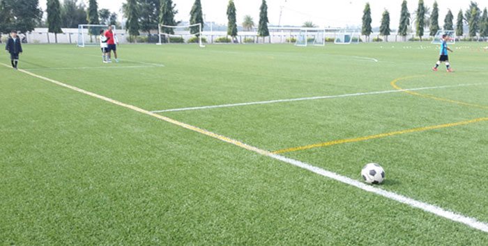 football artificial turf