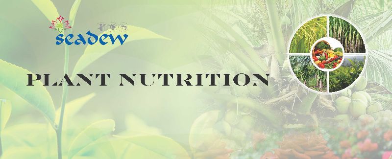 Seadew Plant Nutritions