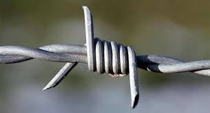 barbed wire