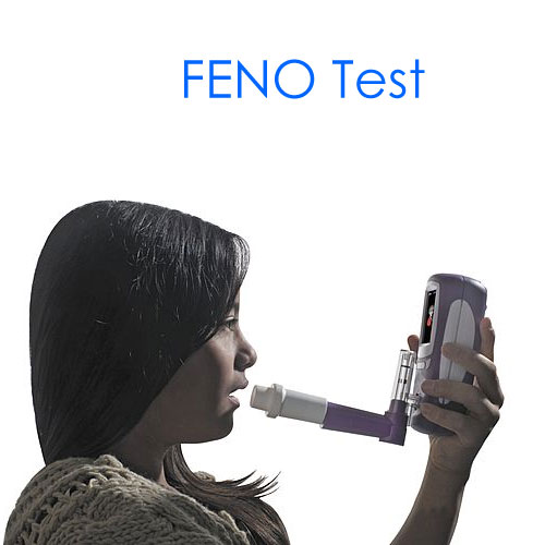 FENO Test