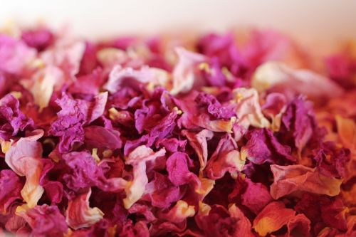 Natural Dry Rose Petals, for Cosmetics, Medicine, Feature : Colorful Pattern, Freshness, Natural Fragrance