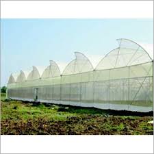 Naturally Ventilated Greenhouse / Polyhouse