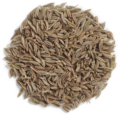 Cumin Seed Oil