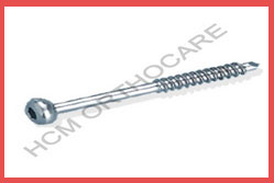 Malleolar Screws