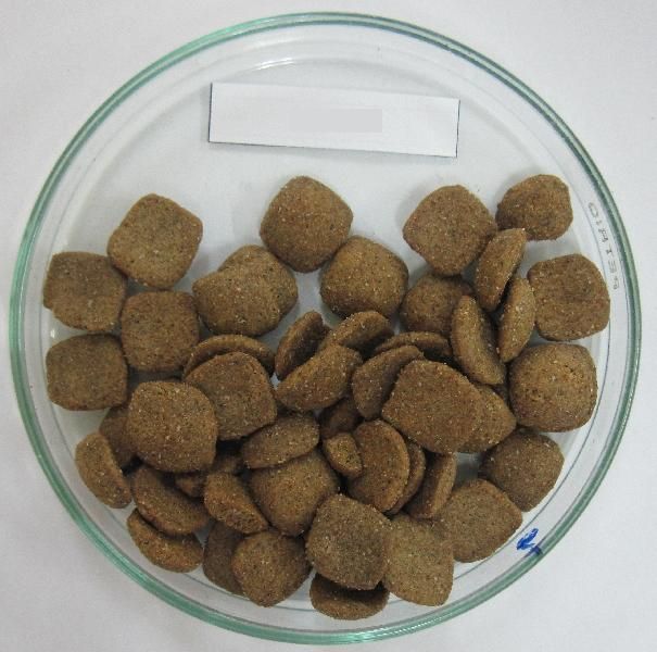 Dry Dog Food