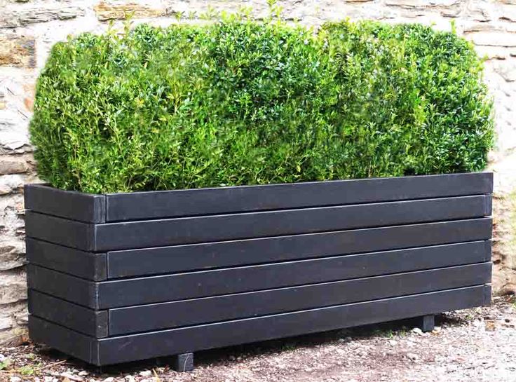 Large Planters