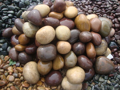 Matte Natural Stone Big River Pebbles, for Landscaping, Size : 14x14Inch, 15x15Inch