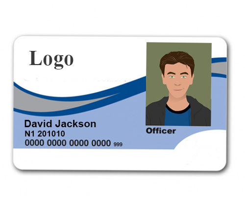 PVC Plastic Identity Cards, Feature : Easy To Carry