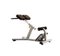 Fitline Olympic Roman Chair