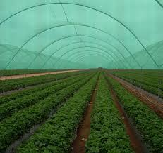 Agriculture Green Shade Net