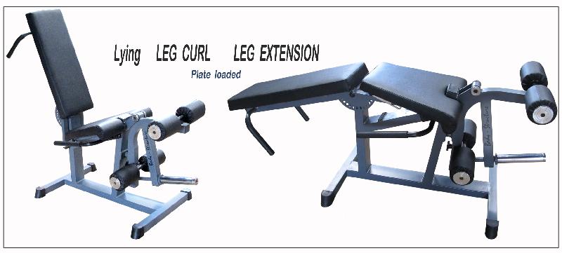 Lying leg curl leg extension plate loader