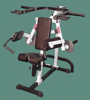 Plate loader with lateral raise