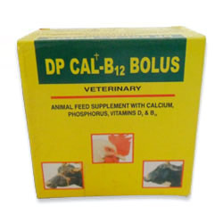 DP Cal B12 Bolus