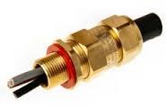 Brass Cable Gland