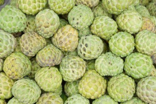 Organic fresh custard apple, Certification : FSSAI Certified